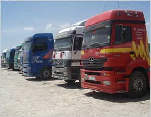Transportation & Cargo Logistics
